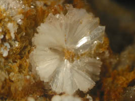 vantasselite-(coll & photo JDV)